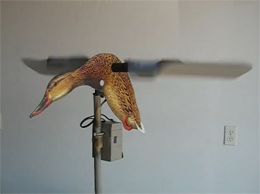 The Hypnotizer Motion Decoy