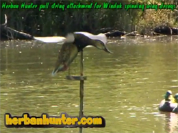 The Pull String Duck Decoy